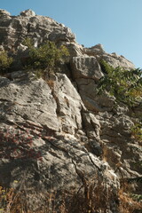 Fototapeta premium rocks in the mountains