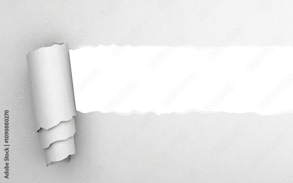 Poster Torn white paper with rolled edges exposing a blank strip in the middle. Closeup image on a white background, perfect for template or design concepts