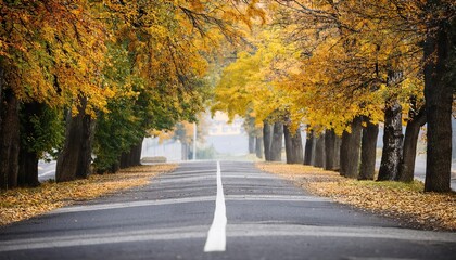 Fototapeta premium Empty road in city in autumn time 
