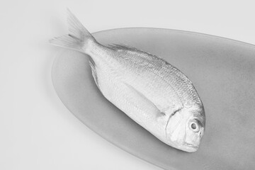 Fish close view background