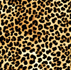 Fototapeta premium Leopard skin texture, real wild cat fur, background design, modern pattern