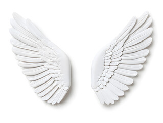 Obraz premium 3d White Angel wings isolated on white background