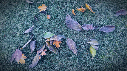 Obraz premium Der erste Frost