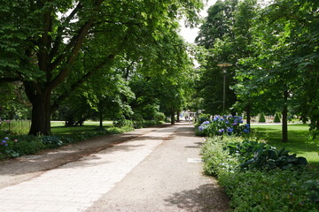 Obraz premium Weg durch Park in Bad Nauheim