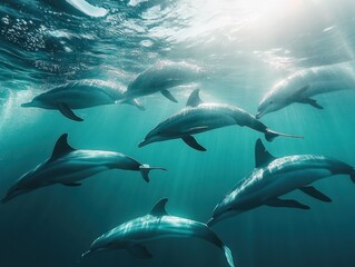 Fototapeta premium Marine conservation, protecting ocean life and ecosystems
