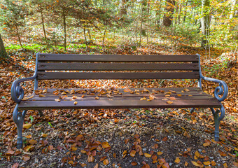 Holzbank mit Laub bedeckt in einem Park im Herbst, Bayern, Deutschland, Europa