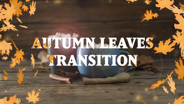 Autumn Leaves Transition