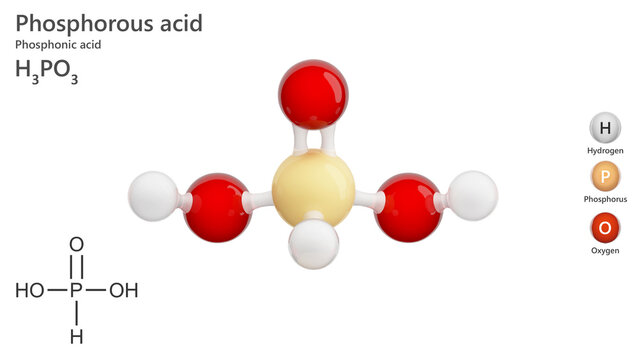 Molecule: Phosphorous Acid. Molecular structure. Formula: H3PO3. Chemical model: Ball and stick. White background. 3D illustration.