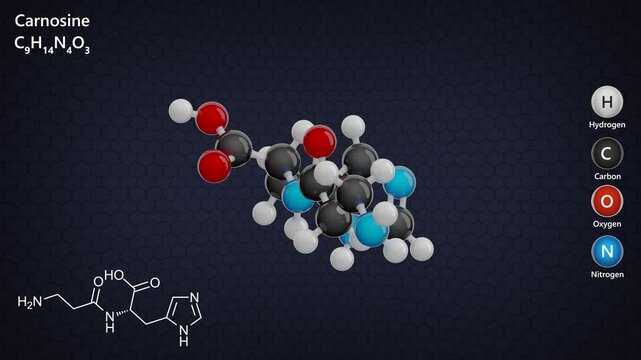 Carnosine. Animated 3D model of a molecule. Molecular formula: C9H14N4O3. Chemical model: Ball and sticks. Dark background. 3D rendering. Seamless loop.