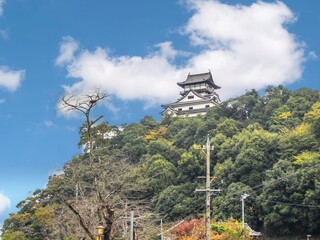 Fototapeta premium 【愛知県】犬山市・犬山城