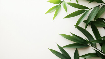 Obraz premium Minimalist arrangement of green bamboo leaves on a white background, creating a fresh and serene composition perfect for a natural and calming atmosphere.