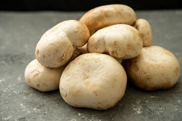 Fototapeta premium Macro detail shot of natural mountain culture mushroom in bulk.