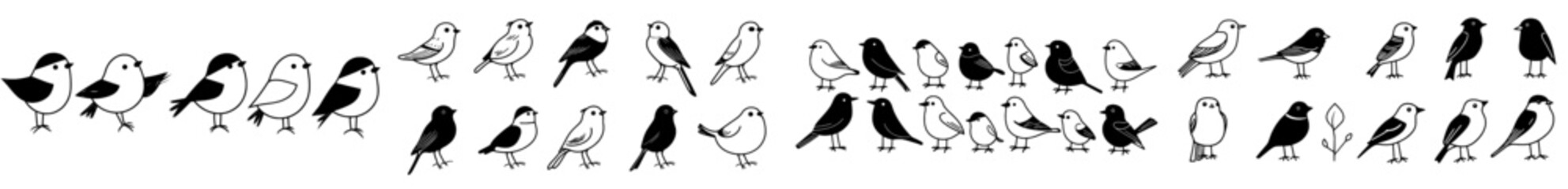 Fototapeta premium Antique avian illustrations. Hand-drawn sketches of flying creatures. Robin, cardinal, and pigeon. Sparrow with a line drawing. Black lark or bluebird. Engraved forest birds. Swallow wings. Modern