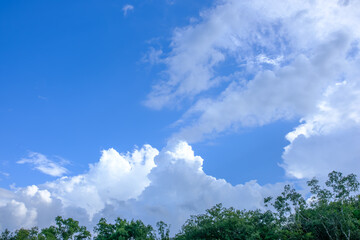 Obraz premium 夏空と積雲