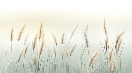 Fototapeta premium Soft Grass Blades In The Mist