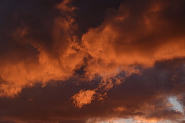 Fototapeta premium fire cloud in the sky