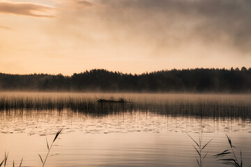 Sunrise with fog forming over a lake in Sweden, at dawn. Romantic silence