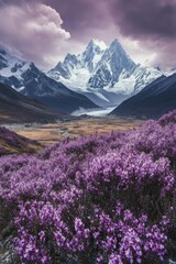 Obraz premium Stunning purple flower field with mountains and dramatic sky in the background