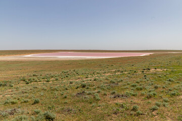 Mekletinskoe pink lake. Kalmykia Republic, Russia.