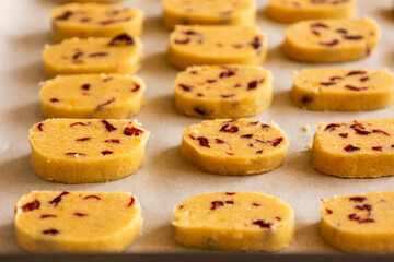 unbaked Christmas cookies with dried cranberries and orange zest arranged on a baking tray, ready to bake