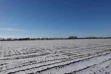 landscape with snow