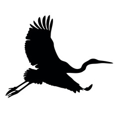 A bird is flying in the sky. The bird is black