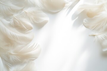 Soft white feathers on light background with space in center