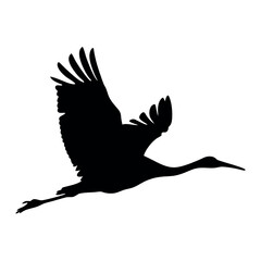 Fototapeta premium A black and white bird flying in the air. The bird is a crane