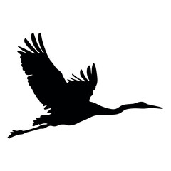 Fototapeta premium A black and white bird flying in the air. The bird is a crane