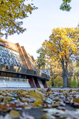 Fototapety na wymiar - Fototapeta24.pl