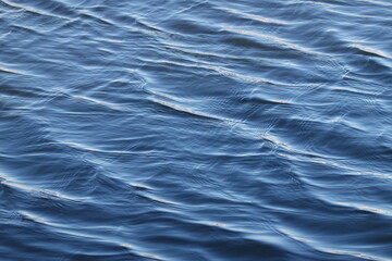 Fototapeta premium wave on the river