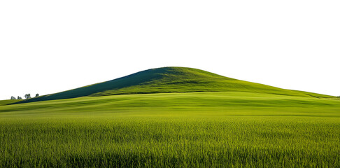 Obraz premium Green Hill with Lush Grass Under Clear Sky , Cutout, Isolated on White Background