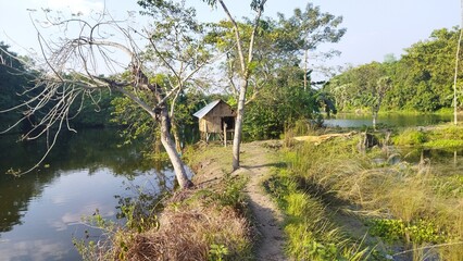 Fototapeta premium Cottage near the lake 