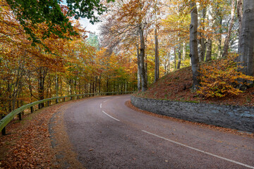 Scotland: The road to New Lanark, which passes through the forest ablaze with autumn colours