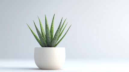 Indoor plant care aloe vera home photography minimalistic space close-up indoor gardening tips for beginners