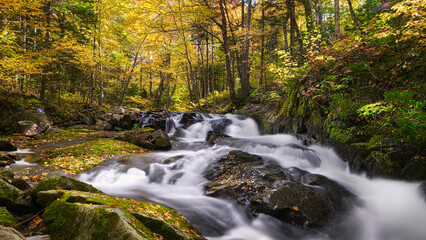 river flowing down the rapids between the big rocks in the forest. wallpaper, 16:9 horizontal view. 16:9 image, 16:9 wallpaper, 16:9 ratio, high quality photo.