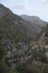 Obraz premium mountain in the mountains
