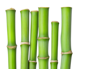 Green bamboo stalks arranged in an artistic way