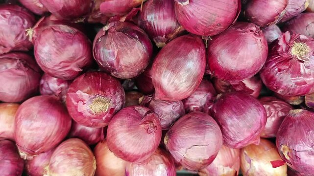 Fresh onion