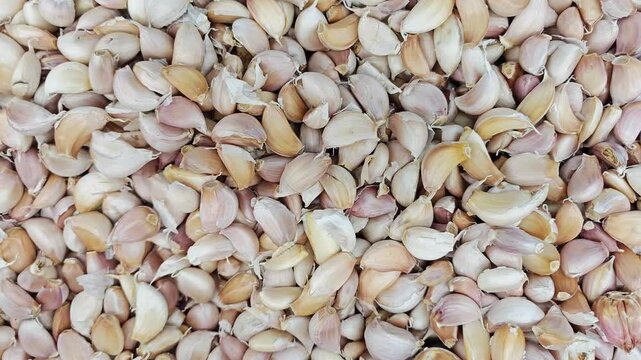 garlic