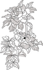 Vector sketch illustration silhouette design ornament decoration accessories baground classic vintage ethnic traditional floral natural