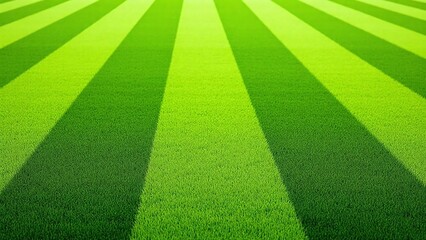 Well-manicured soccer field with striped grass surface