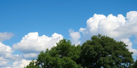 Obraz premium cotton like clouds in the blue sky with trees in the foreground, leafy branches, foliage, peaceful atmosphere