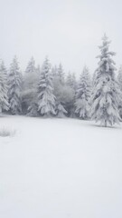 Obraz premium Winter landscape with snow-covered trees and a blanket of fresh snow on the ground, tranquil