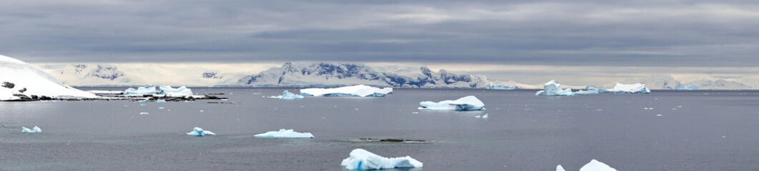 Obraz premium Panorama of icebergs floating in a bay, surrounded by snow covered mountains, at Portal Point, Antarctica