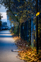 Scary Dark Path Alley with Golden Leaves and Streetlights - Ominous Alleyway - Dark, Mysterious, Eerie, Creepy, Scary, Urban Decay, Abandoned, Forgotten, Unsafe, Danger, Threat, Fear, Anxiety