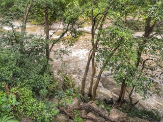 Fototapeta premium River