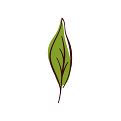 Obraz premium Green leaf of basil in simple flat design. Ideal for natural, organic, and eco friendly themes. Isolated on white background.