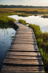 Obraz premium Wooden boardwalk stretching over a marshy wetland
