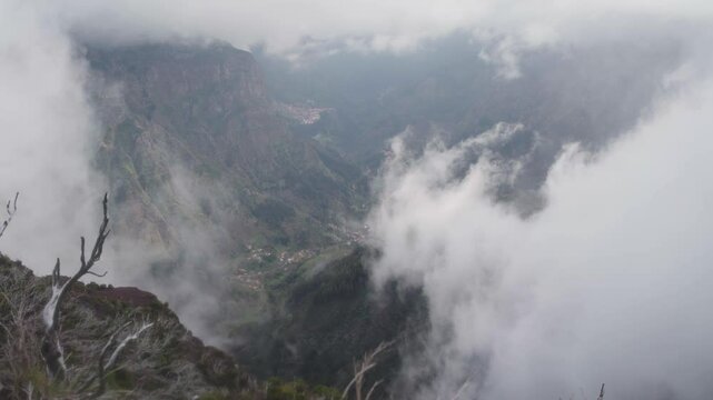 Mountains on sunset covered in fog and clouds with blooming Cytisus shrubs. Near Pico de Arieiro , Madeira island, Portugal.